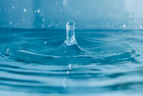 acqua di lago